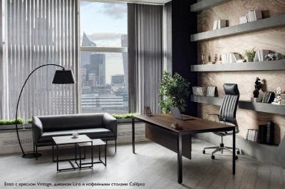 Кабинет руководителя Enzo Эвкалипт темный