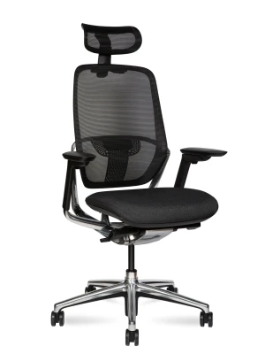 Эргономичное кресло Norden Hertz HN01TDA-D01 черная сетка, черная ткань, база полированный алюминий