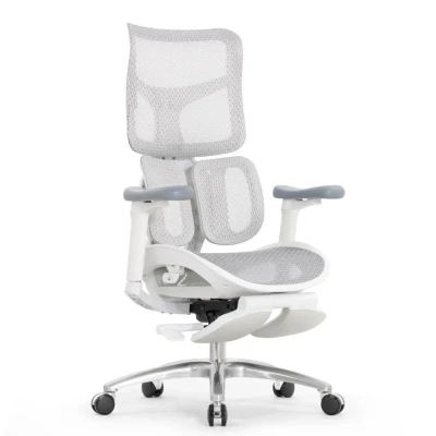 Кресло для руководителя FALTO SCALA-OFFICE серая сетка с подножкой